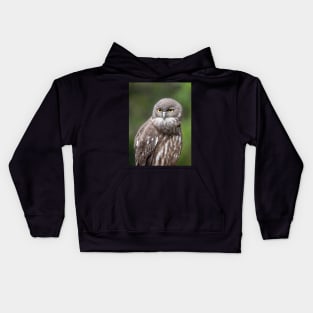 Barking Owl, Australian Birdlife Kids Hoodie